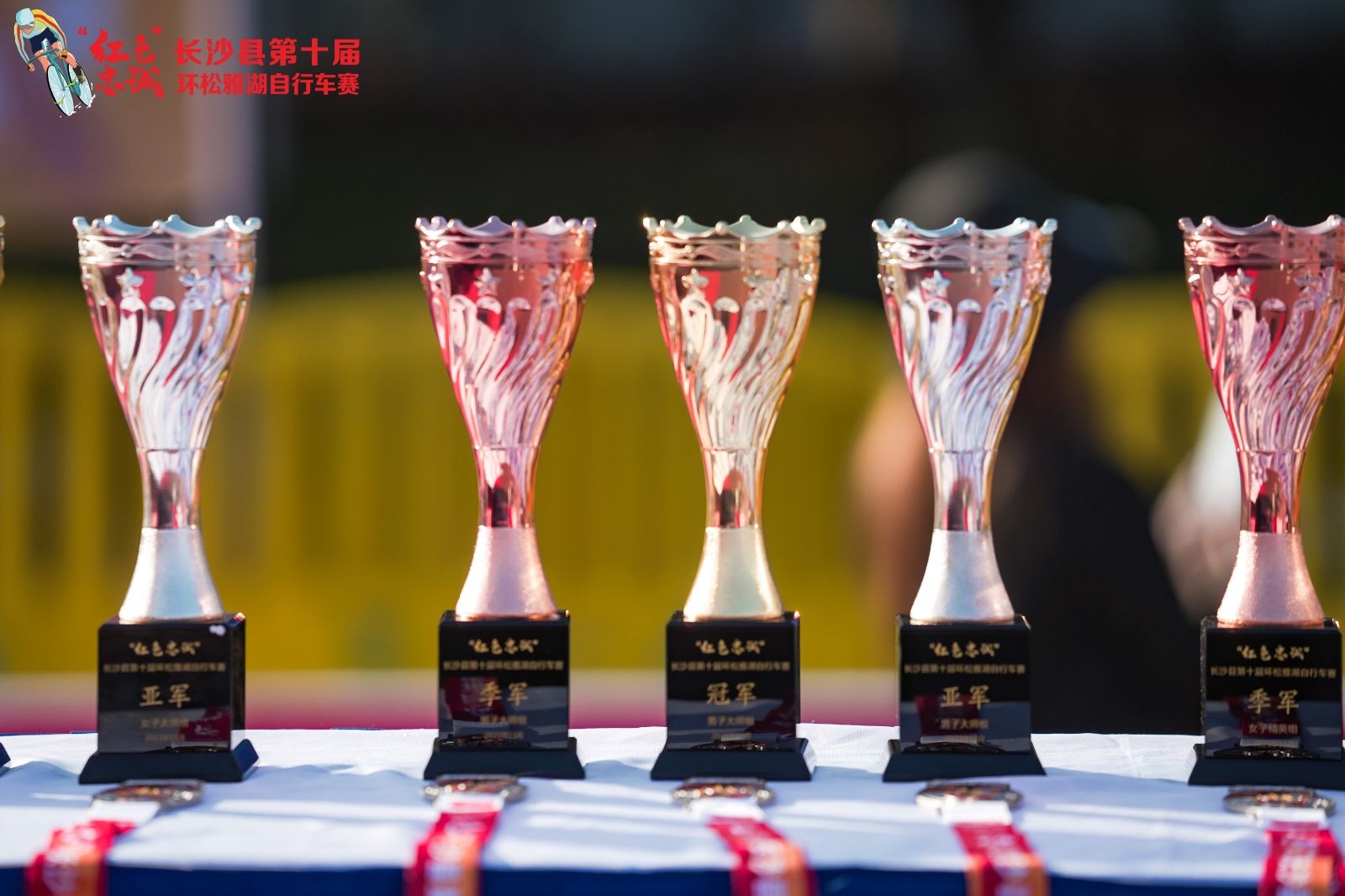 湖南乐鱼体育管理有限公司